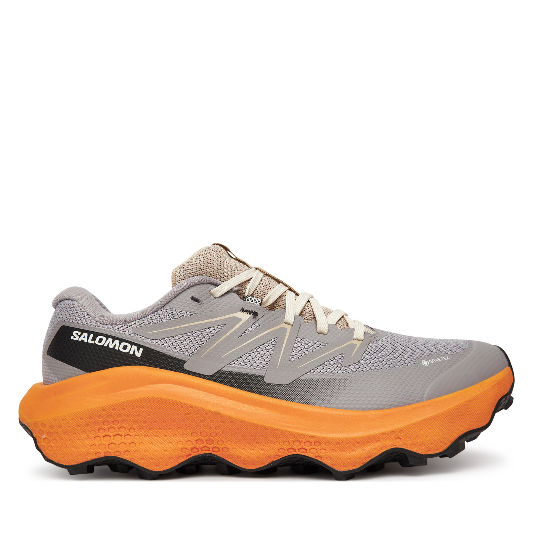 Scarpe running Salomon