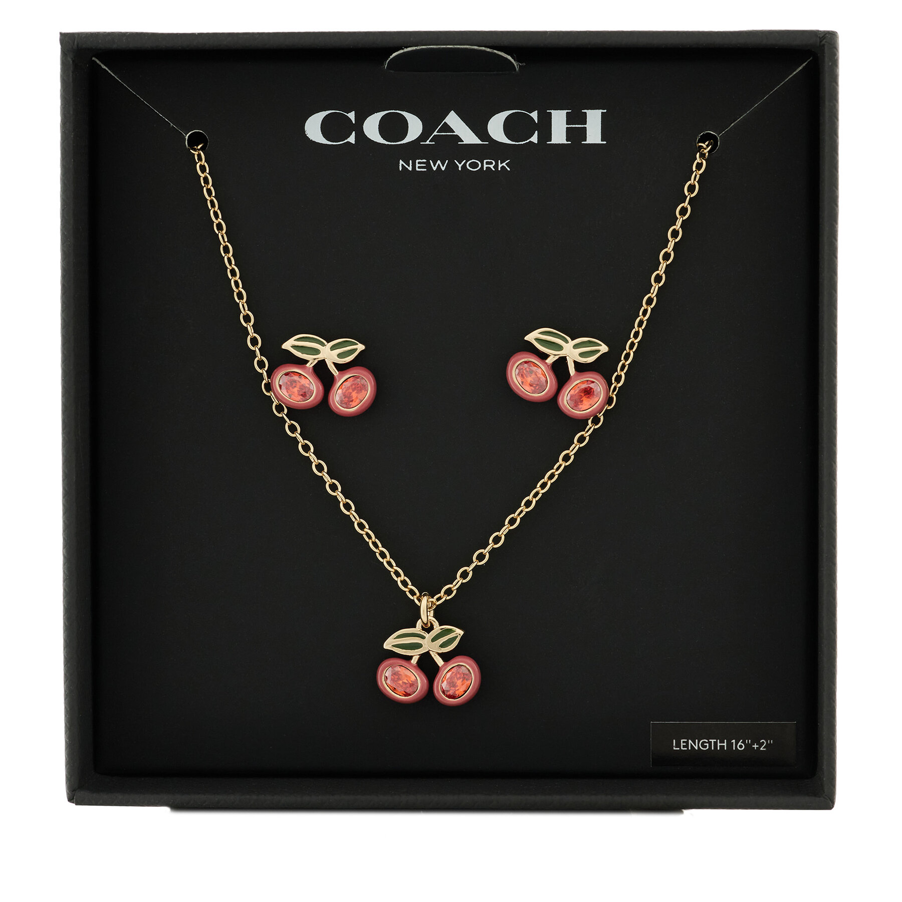 Set collana e orecchini Coach