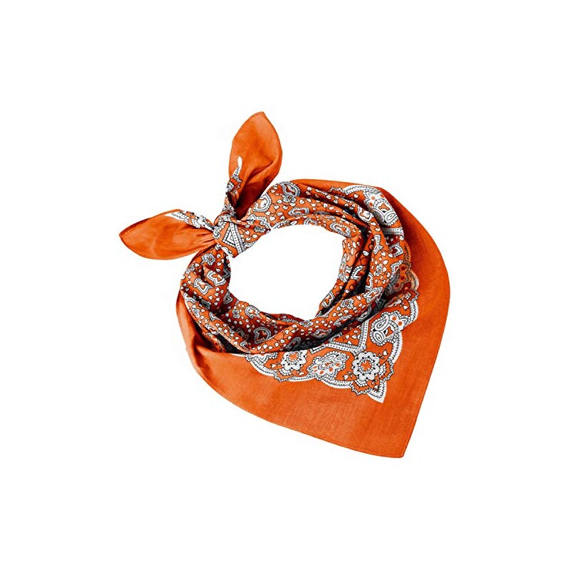 INNAL Set di 8 Bandane Colorate Paisley Unisex - Bandane per Capelli, Collo, Polso e Testa (8 Colori INNAL Set di 8 Bandane Colorate Paisley Unisex - Bandane per Capelli, Collo, Polso e Testa (8 Colori