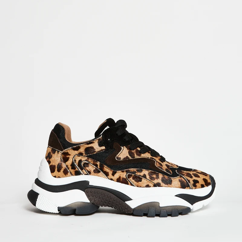 Ash Sneakers Addicter leopardate
