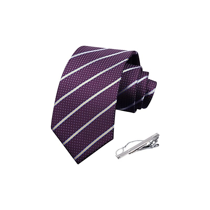 Alizeal Set Cravatta E Fazzoletto Da Tasca Uomo Con Motivo Floreale – 100% Poliestere, Lunghezza 150 Cm, Per Matrimoni E Feste