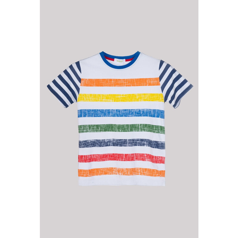 GAUDI' KIDS T-Shirt a Righe Multicolor