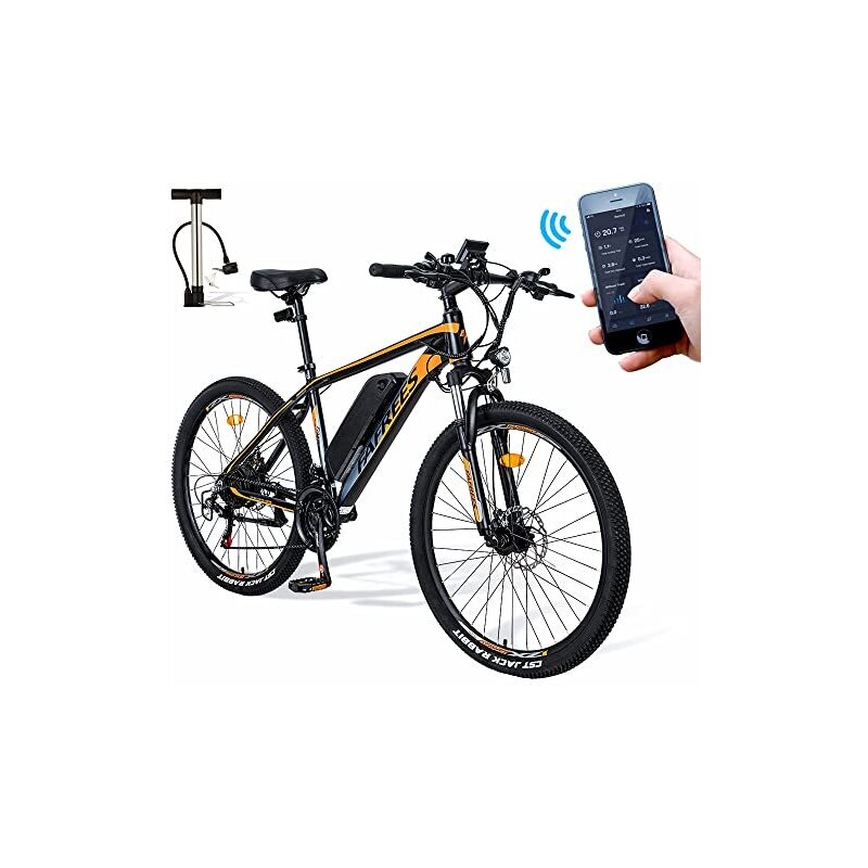 Bicicletta pieghevole elettrica da 250 W di qualà eccellente