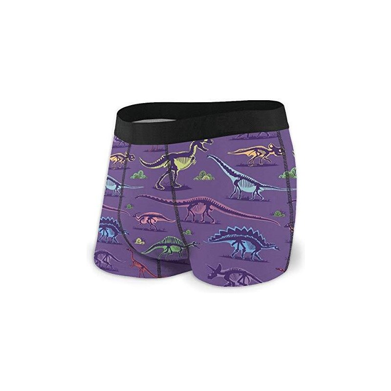 Lsjuee Intimo da Boxer da Uomo - Modello di Dinosauri dei Cartoni