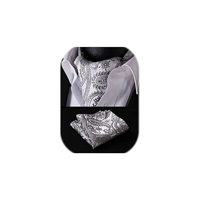 HISDERN Ascot grigio argento Uomo Floreale Paisley Fazzoletto Seta Cravatta da Sposa Elegante Foulard Business Partito Classico Ascots e Pochette Set