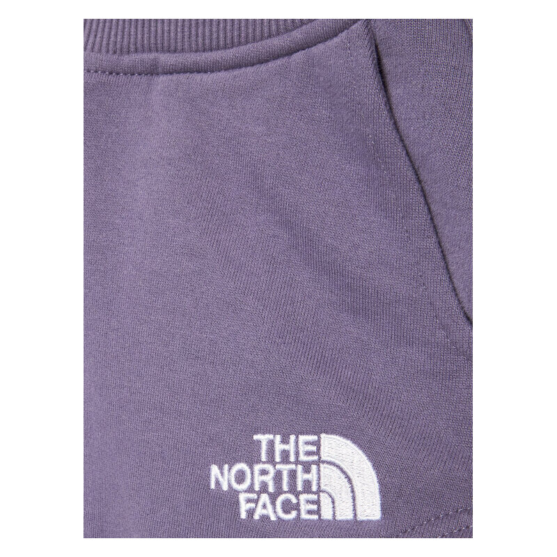 Pantaloncini sportivi The North Face