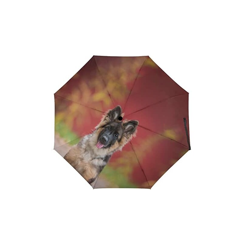 FunnyStar00235145 Cucciolo di pastore tedesco in autunno Ombrello pieghevole  da viaggio Ombrello UV antivento aperto all'aperto 
