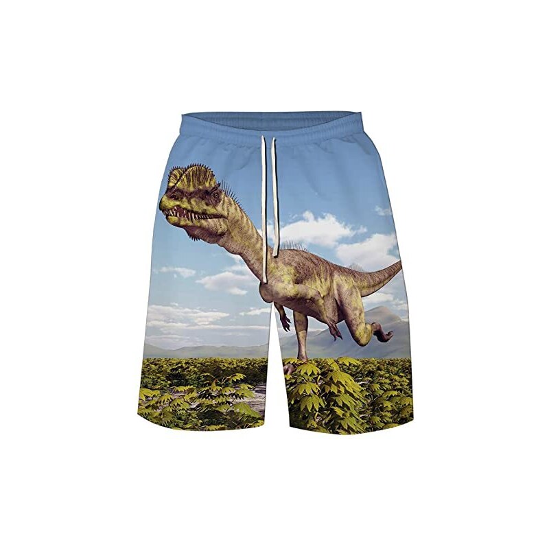 RUMAOZIA Costume da bagno da uomo, pantaloncini da nuoto, pantaloncini estivi, ad asciugatura rapida, pantaloni da allenamento, costumi da bagno, pantaloncini con stampa, bianco, M