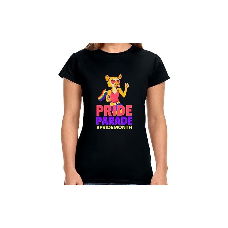 Le Mani Proteggono Un Cuore Gay Nei Colori Della Bandiera LGBT Pride Month 50646192