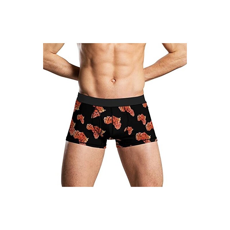 INTIMO Boxer Uomo Con Stampa Divertente A Fiamma In Lamina Di Rame – Morbido 100% Poliestere, Regalo Originale