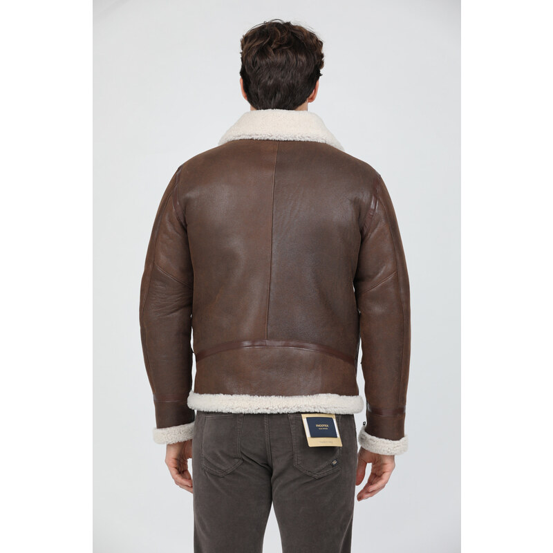 H.c.r. 7279 Aviator