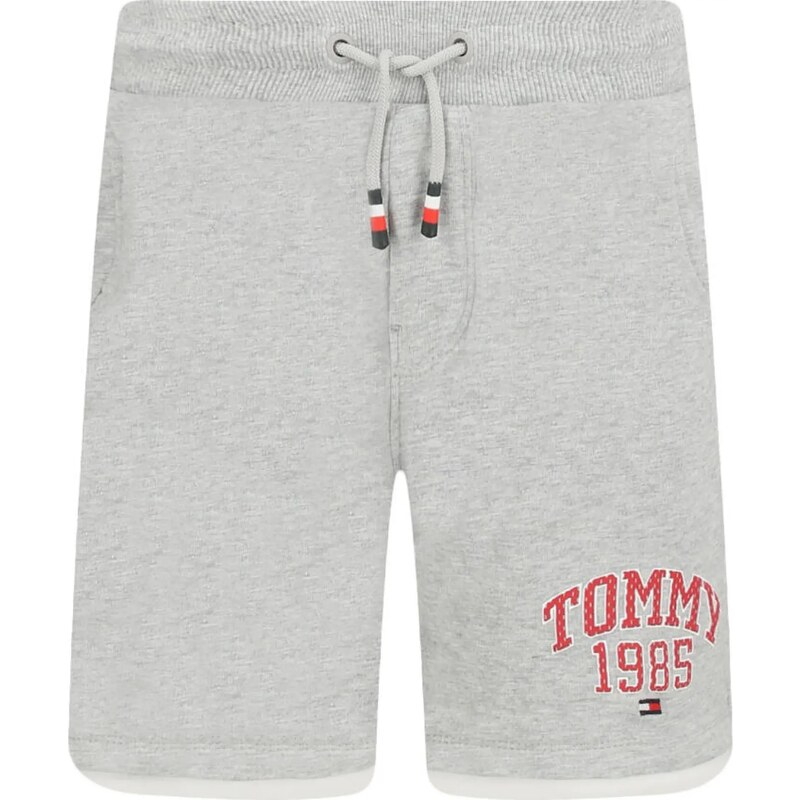 Tommy Hilfiger Shorts | Regular Fit