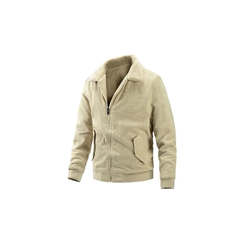 Alessandro Salvarini Winter Jacket in Black | ABOUT YOU
