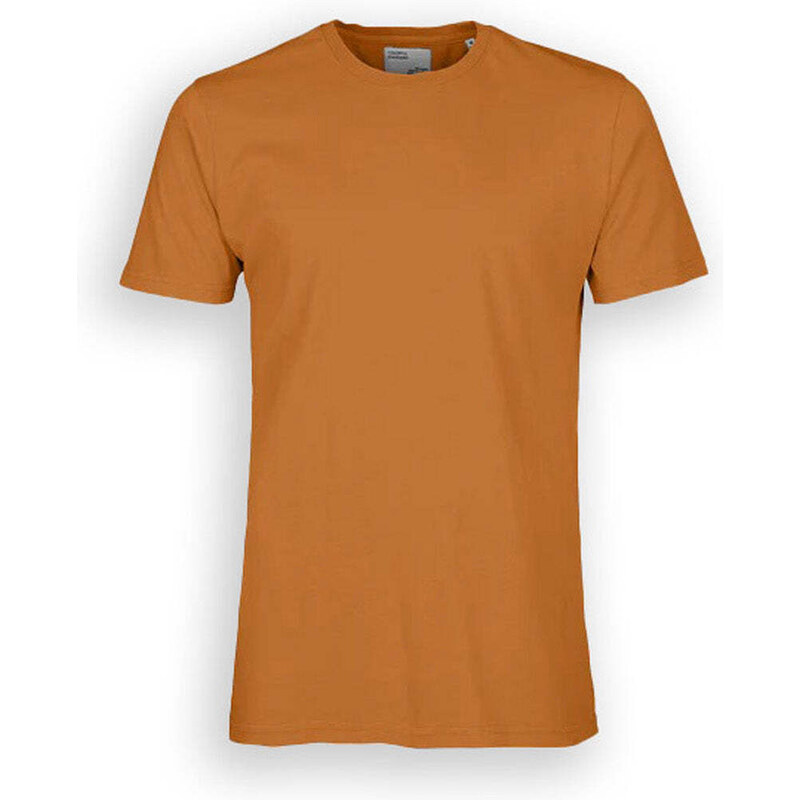 T-Shirt Colorful Standard Cotone Organico Ginger U