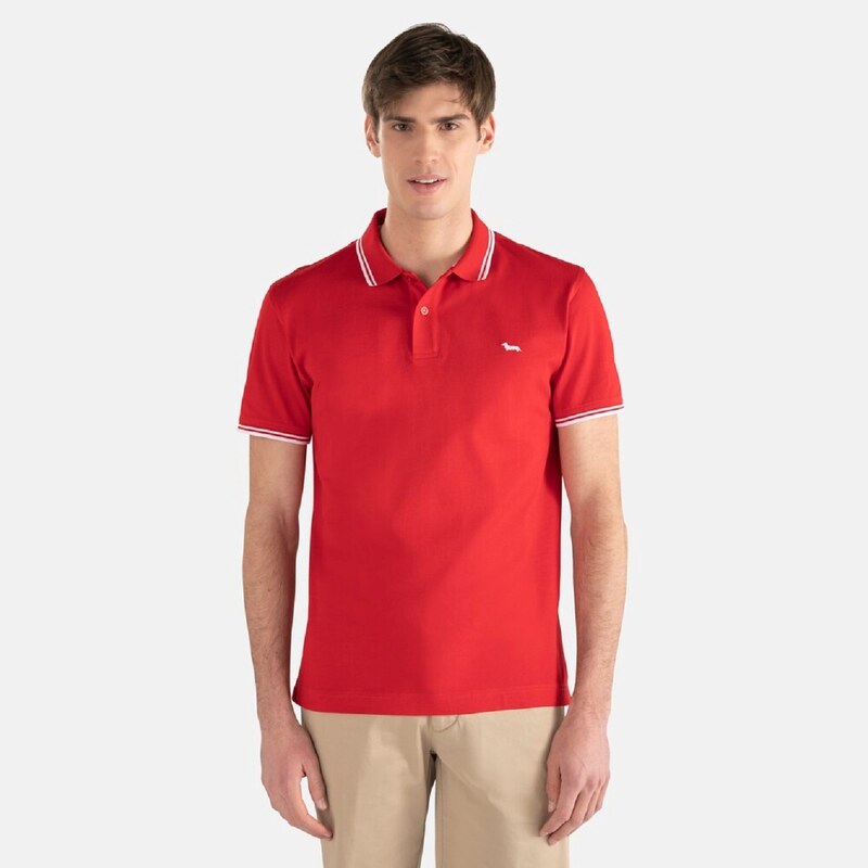 HARMONT & BLAINE POLO CON RIGHI CONTRASTO MM