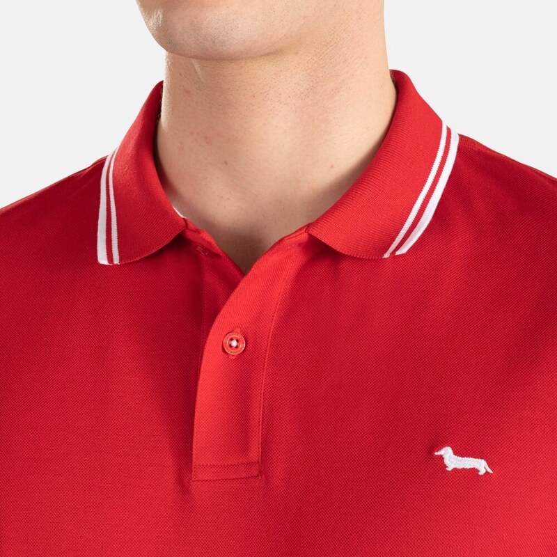 HARMONT & BLAINE POLO CON RIGHI CONTRASTO MM
