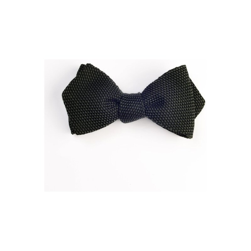 Papillon ELSNER