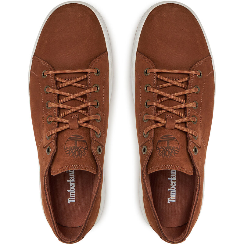 Sneakers Timberland