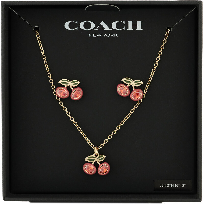 Set collana e orecchini Coach