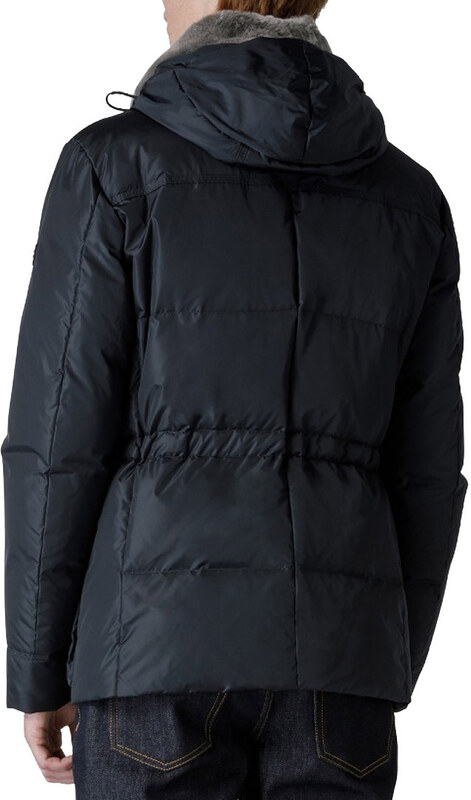 PEUTEREY GIUBBINO AIPTEK NBE 03 FUR