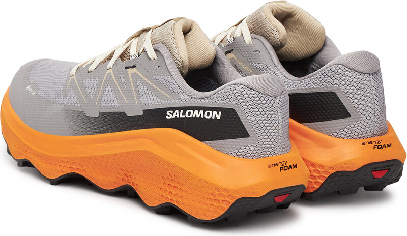 Scarpe running Salomon
