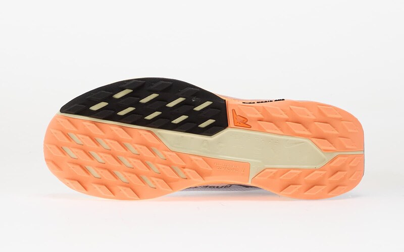 Sneakers Nike Pegasus Trail 5 Gore-Tex Ghost/ Black-Malt-Orange Pulse
