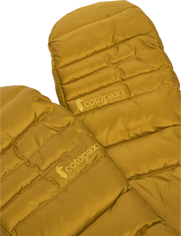 Guanti da sci Cotopaxi