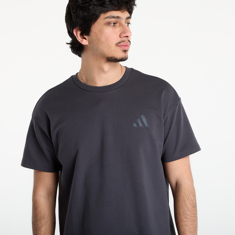 adidas Performance Maglietta adidas Terrex Xploric Graphic T-Shirt Carbon M