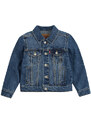 Levis Giacca in jeans TRUCKER JACKET