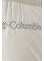 Columbia ICONS
