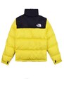 GIUBBOTTO THE NORTH FACE Uomo NF0A3C8D71U/YELLOW