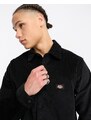 Dickies - Wilsonville - Camicia in velluto a coste nera-Black