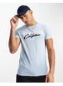 Hollister - T-shirt tecnica azzurra con logo-Blu