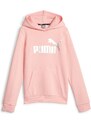 Felpa con cappuccio rosa da bambina con logo argento Puma Essentials