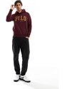 Polo Ralph Lauren - Felpa con cappuccio in pile bordeaux con logo stile college-Rosso