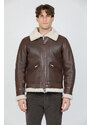H.c.r. 7279 Aviator