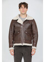 H.c.r. 7279 Aviator