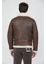 H.c.r. 7279 Aviator
