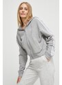 adidas felpa in cotone donna colore grigio con cappuccio IK8386