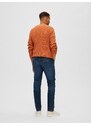 SELECTED HOMME Jeans SCOTT