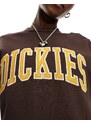 Dickies - Aitkin - Felpa marrone con logo stile college ricamato