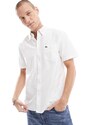 Lacoste - Camicia Oxford classica a maniche corte bianca-Bianco