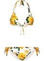 Dolce & Gabbana Bikini a triangolo Yellow Rose