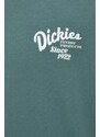 Dickies t-shirt in cotone RAVEN TEE SS uomo colore verde DK0A4YYM