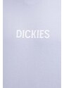 Dickies t-shirt in cotone PATRICK SPRINGS TEE SS uomo colore violetto DK0A4YR7