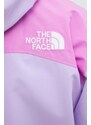 The North Face giacca uomo colore violetto NF0A879EVFO1