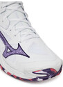 Scarpe indoor Mizuno