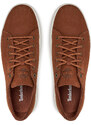 Sneakers Timberland